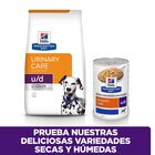 Hill's Prescription Diet Urinary Care u/d ração para cães, , large image number null